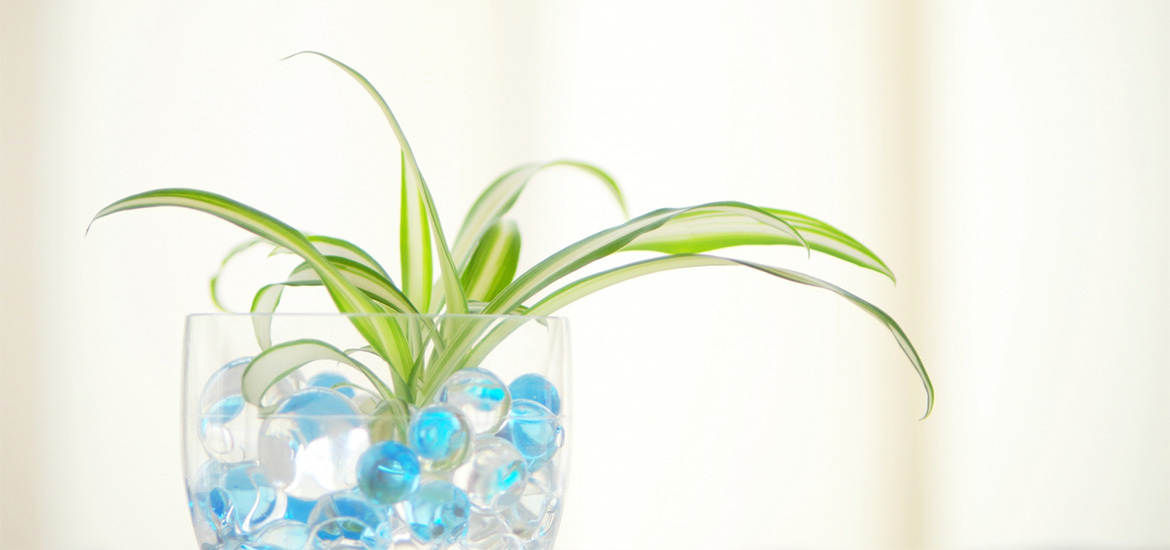 鹿沼市万町 耳鼻咽喉科